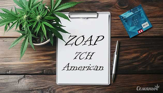Гроурепорт сорта Zoap fem от 7CH American